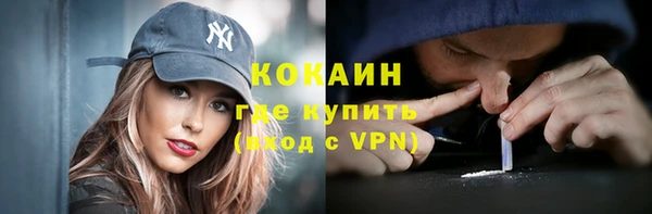 скорость Ельня