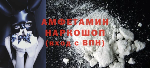 скорость Ельня