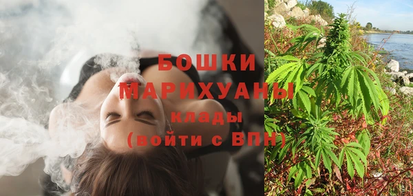 альфа пвп Заводоуковск