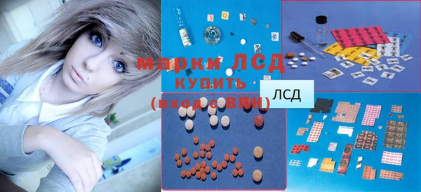 скорость Ельня