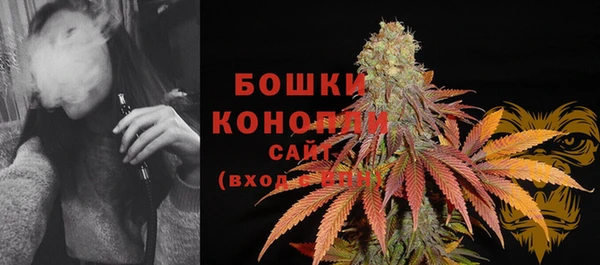 альфа пвп Заводоуковск