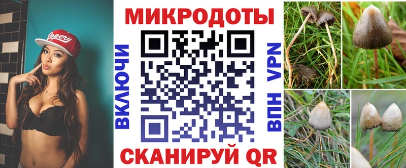 Купить  Киренск  Псилоцибиновые грибы MAGIC MUSHROOMS 